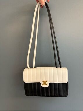 CHANEL Spectator Flap Bag